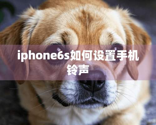 iphone6s如何设置手机铃声