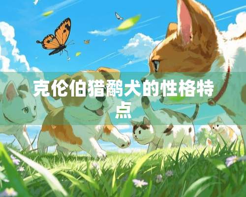 克伦伯猎鹬犬的性格特点