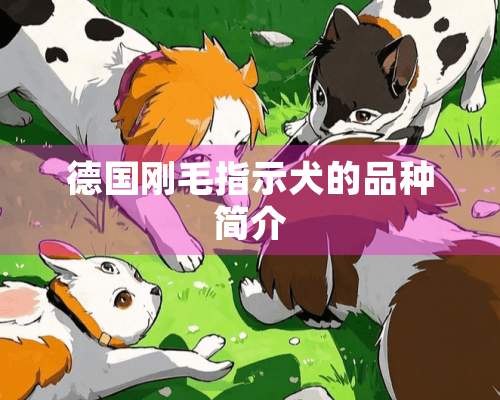 德国刚毛指示犬的品种简介