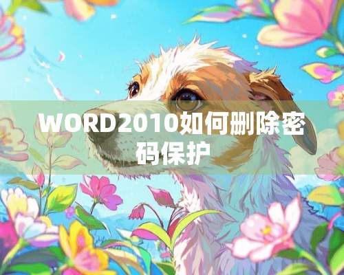 WORD2010如何删除密码保护