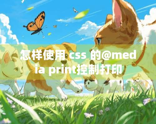 怎样使用 css 的@media print控制打印