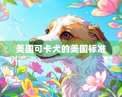 美国可卡犬的美国标准