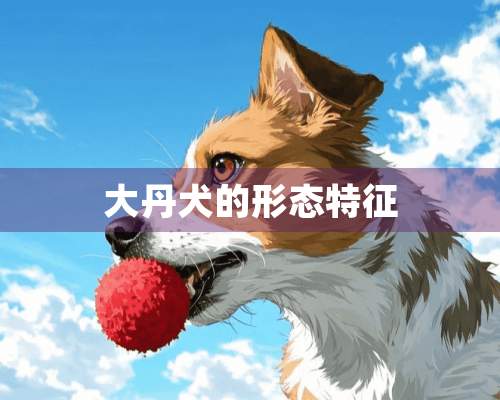 大丹犬的形态特征