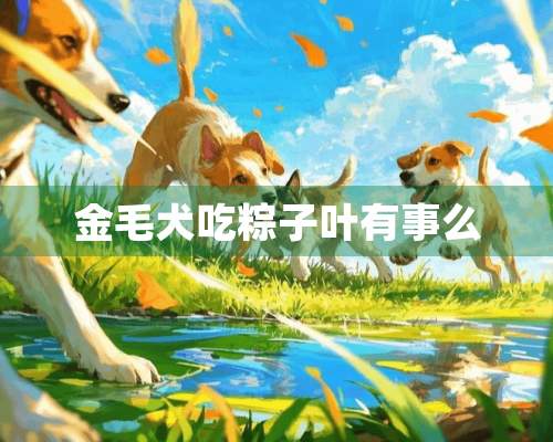 金毛犬吃粽子叶有事么