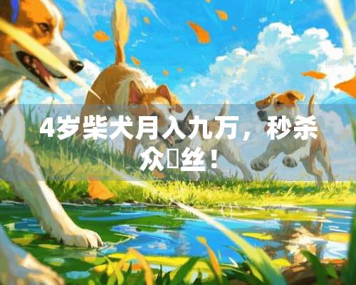 4岁柴犬月入九万，秒杀众屌丝！