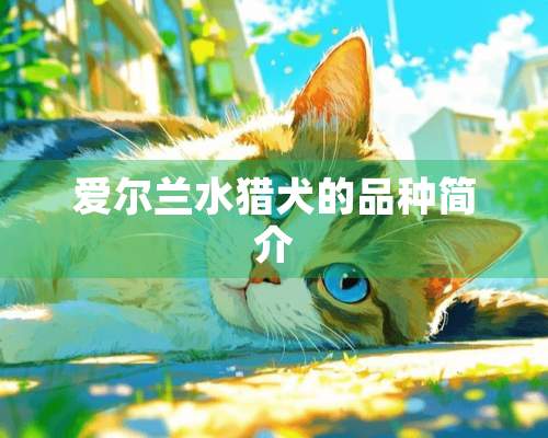 爱尔兰水猎犬的品种简介