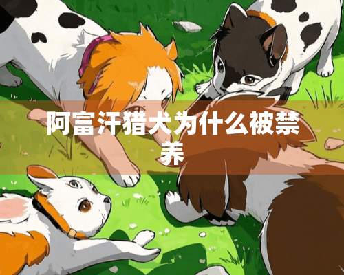 阿富汗猎犬为什么被禁养