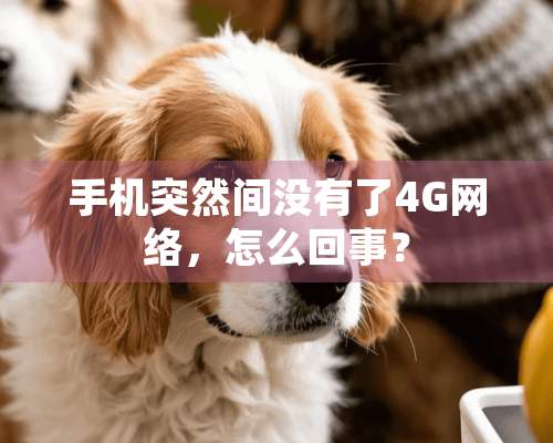 手机突然间没有了4G网络，怎么回事？