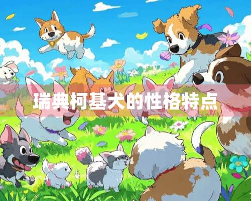 瑞典柯基犬的性格特点