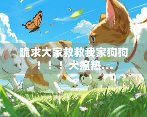 跪求大家救救我家狗狗！！！犬瘟热...