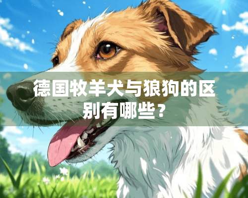 德国牧羊犬与狼狗的区别有哪些？