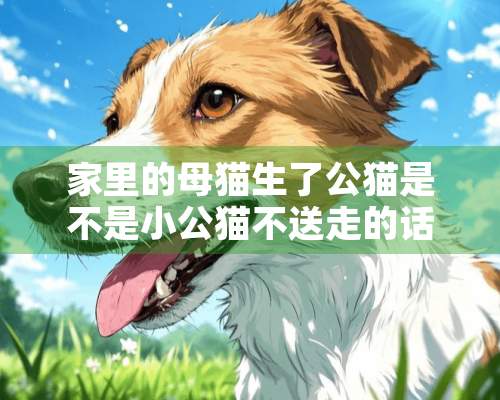 家里的母猫生了公猫是不是小公猫不送走的话老母猫就会离家出走