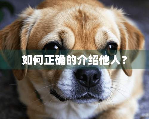 如何正确的介绍他人？