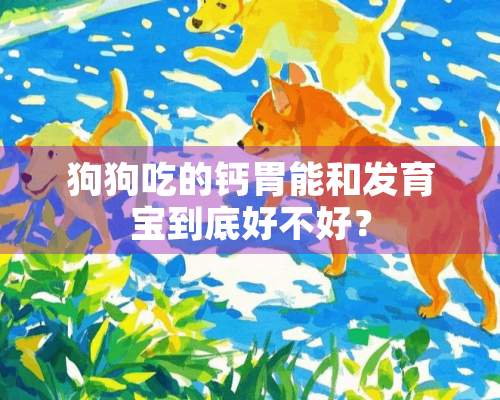 狗狗吃的钙胃能和发育宝到底好不好？