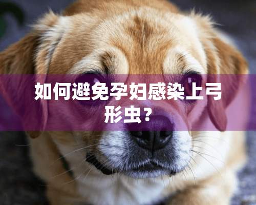 如何避免孕妇感染上弓形虫？