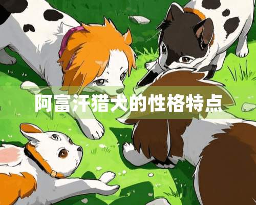 阿富汗猎犬的性格特点