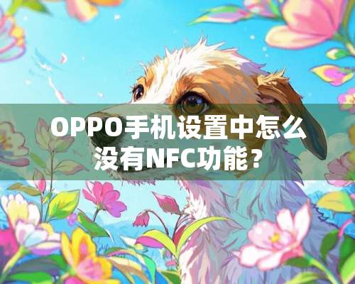 OPPO手机设置中怎么没有NFC功能？