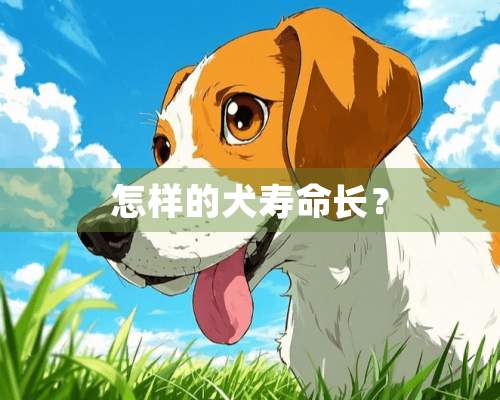 怎样的犬寿命长？