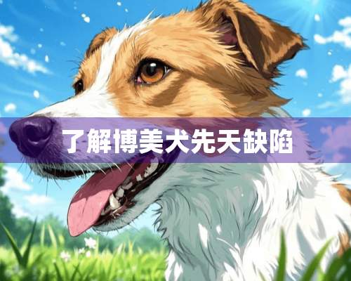 了解博美犬先天**