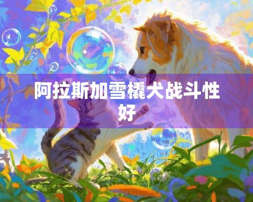 阿拉斯加雪橇犬战斗性好