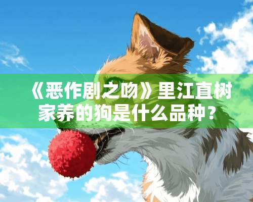 《恶作剧之吻》里江直树家养的狗是什么品种？