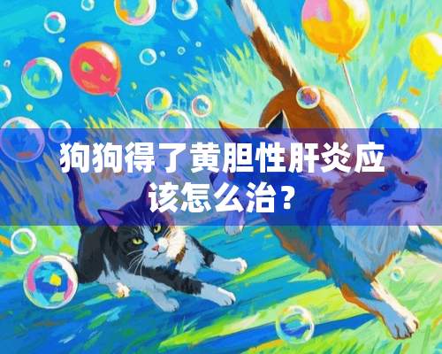 狗狗得了黄胆性肝炎应该怎么治？