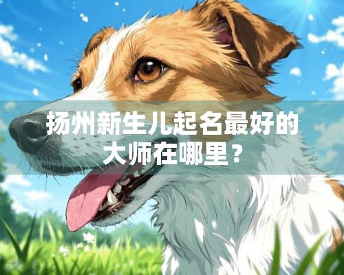 扬州新生儿起名最好的大师在哪里？