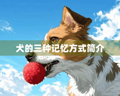 犬的三种记忆方式简介