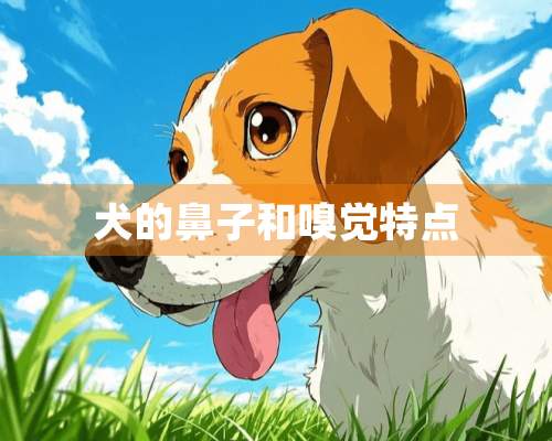 犬的鼻子和嗅觉特点