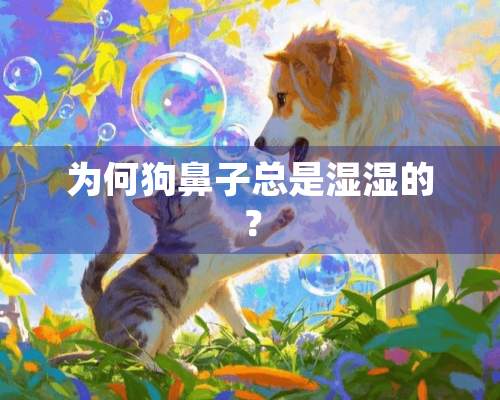 为何狗鼻子总是湿湿的？