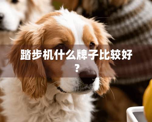 踏步机什么牌子比较好？