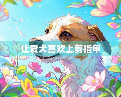 让爱犬喜欢上剪指甲