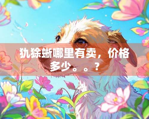 犰狳蜥哪里有卖，价格多少。。？